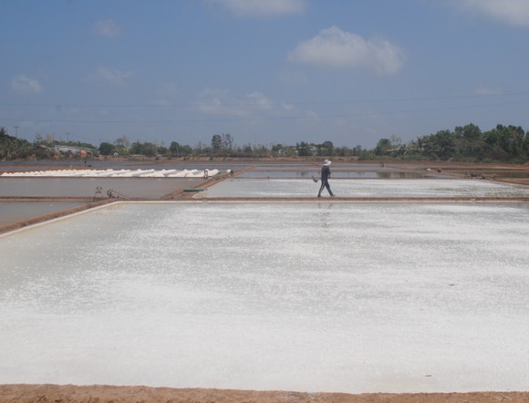 Công bố Di sản văn hóa phi vật thể quốc gia “Nghề làm muối ở Bạc Liêu” ảnh 1