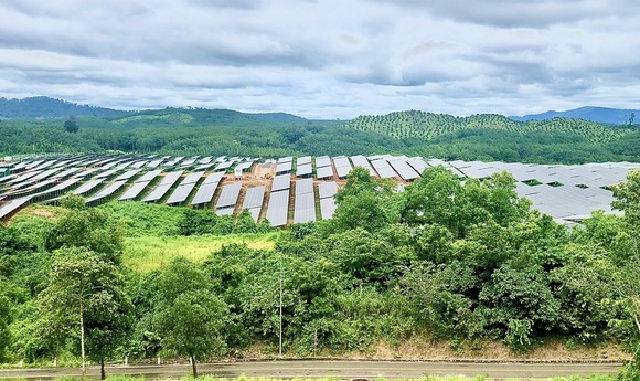 BIDV và Cơ quan Phát triển Pháp (AFD) tăng cường hợp tác ảnh 1