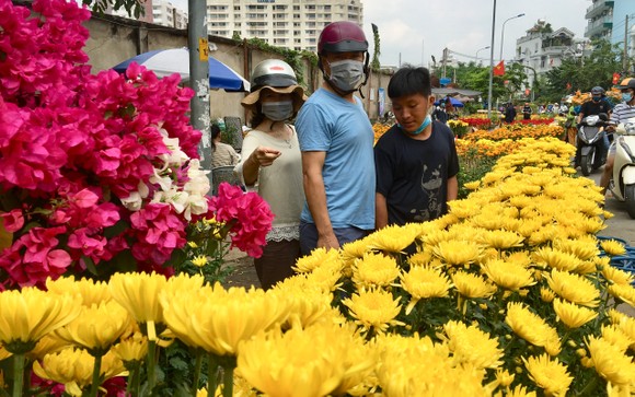 Từ ngày 1-3, TPHCM tổng điều tra kinh tế năm 2021 ảnh 2