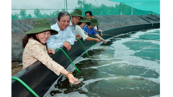 Yêu cầu phát triển nông nghiệp đô thị nhưng lại không cho xây công trình phụ trợ ảnh 3