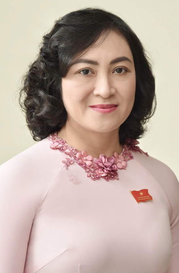 Điều chỉnh phân công công tác lãnh đạo UBND TPHCM nhiệm kỳ 2016 - 2021 ảnh 4