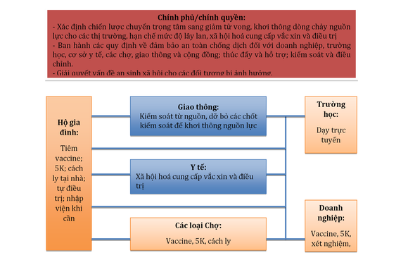 Có thể lựa chọn 'sống chung' với dịch Covid-19? ảnh 4