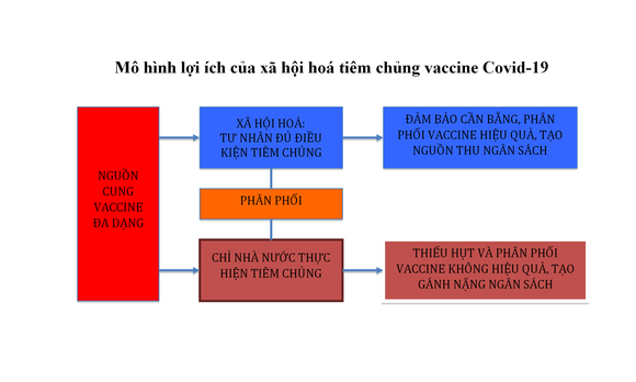 Có thể lựa chọn 'sống chung' với dịch Covid-19? ảnh 6