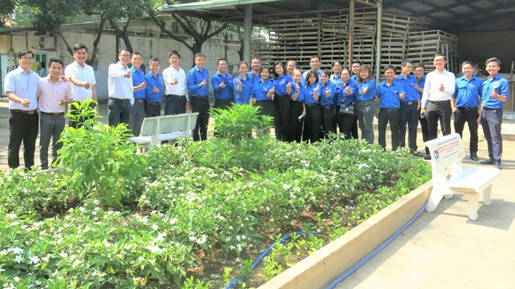 Thêm mảng xanh cho khu lưu trú công nhân ảnh 1