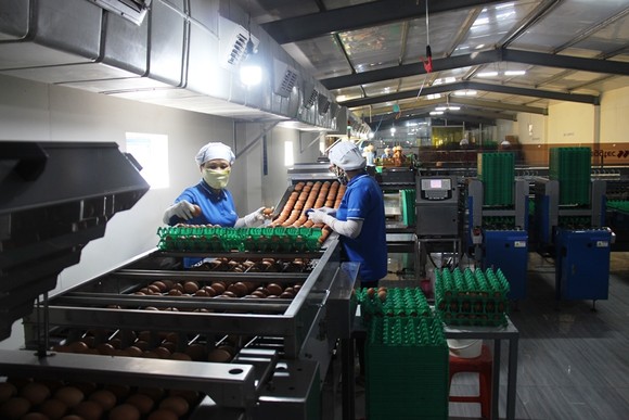 Agribank 'sát cánh chung vai' cùng doanh nghiệp, doanh nhân khôi phục, phát triển nền kinh tế đất nước ảnh 1