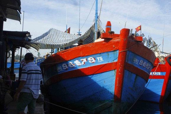 Quảng Ngãi: Hơn 1.100 tàu cá dài từ 15m được cấp giấy chứng nhận đủ điều kiện an toàn vệ sinh thực phẩm ảnh 1