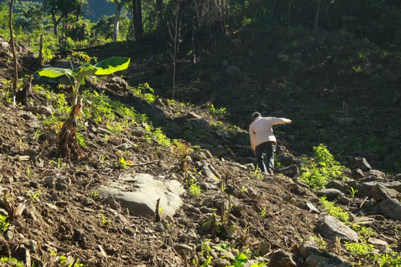 Chuyện người đàn ông hơn 45 năm sống biệt lập giữa núi rừng ảnh 3