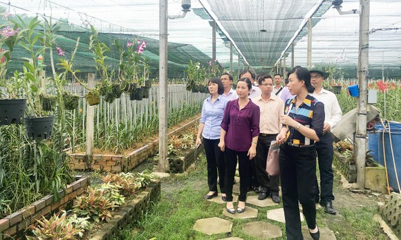 Thúc đẩy tiềm năng du lịch nông nghiệp ảnh 1