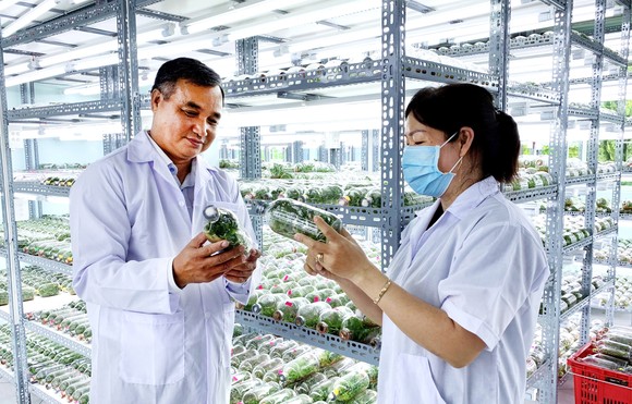 Hun đúc ngọn lửa sáng tạo ảnh 2