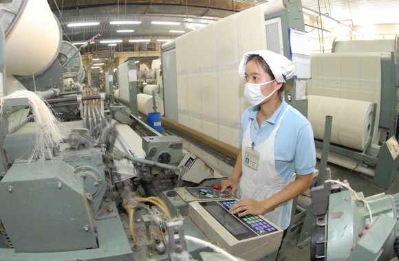 Sản xuất 'xanh', doanh nghiệp rộng đường xuất khẩu ảnh 1