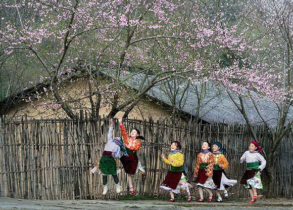 Khoảnh khắc cuộc sống ảnh 4