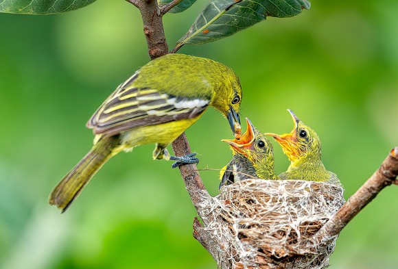 Khoảnh khắc cuộc sống ảnh 3