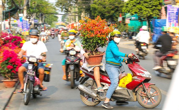 Trên bến dưới thuyền khoe sắc ảnh 6