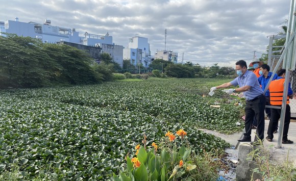 Khơi thông dòng chảy nghiên cứu khoa học ảnh 1