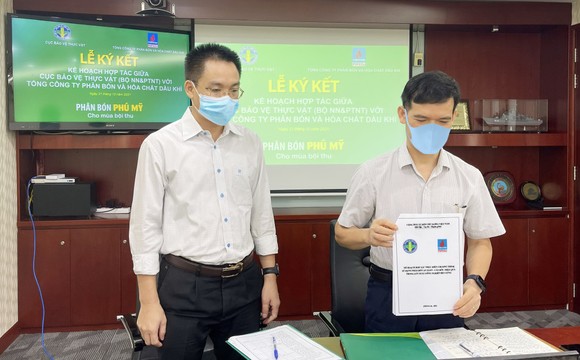 PVFCCo hợp tác triển khai chương trình sử dụng phân bón an toàn, cân đối, hiệu quả ảnh 1
