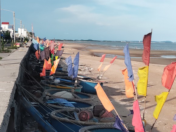 Háo hức chờ ngày vươn khơi ảnh 1