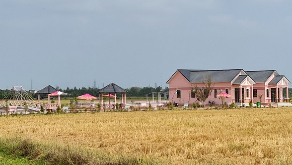 Công ty Kim Loan Quê Tôi bị phạt 40 triệu đồng vì xây dựng không phép ảnh 1
