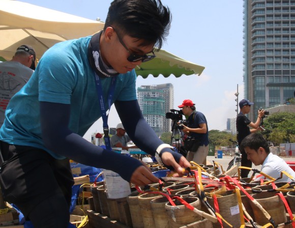 “Đại tiệc” ánh sáng chờ thời khắc khai hoả ảnh 3