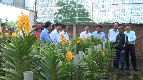Xây dựng Hòa Vang theo hướng đô thị có bản sắc riêng ảnh 4