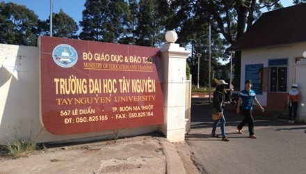 Đắk Lắk: 12 thí sinh trúng tuyển đại học, không được nhập học ảnh 1