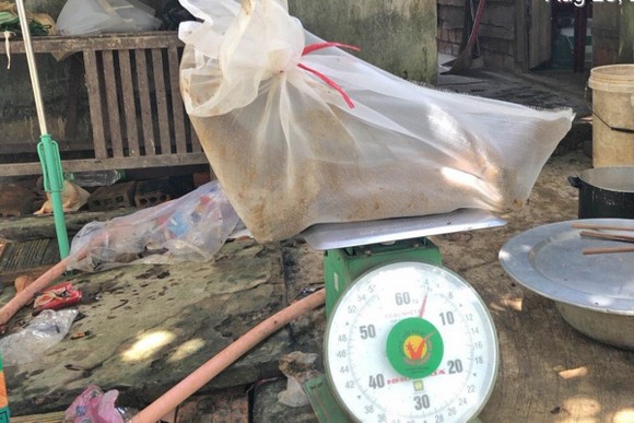Bị phạt 330 triệu đồng vì mua bán động vật rừng nguy cấp quý, hiếm ảnh 2