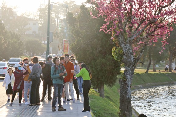 Đà Lạt: Xử phạt 40 triệu đồng đối với 20 du khách, người không đeo khẩu trang nơi công cộng ảnh 1