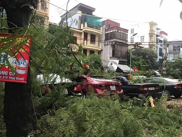 9 tàu bị chìm vì bão Podul, cứu được 60 người ảnh 3