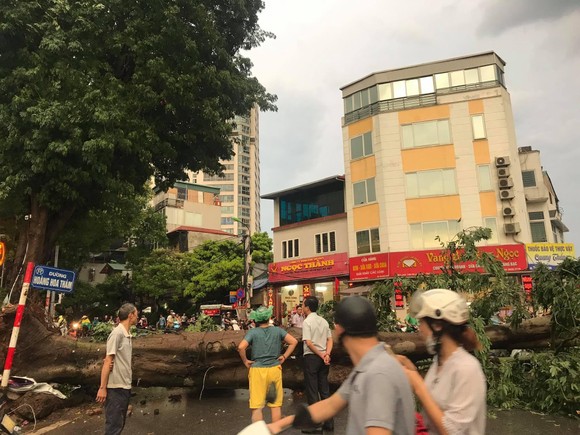 9 tàu bị chìm vì bão Podul, cứu được 60 người ảnh 4