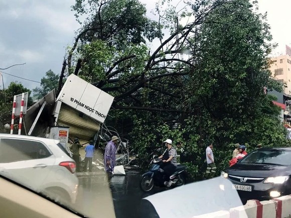 9 tàu bị chìm vì bão Podul, cứu được 60 người ảnh 5
