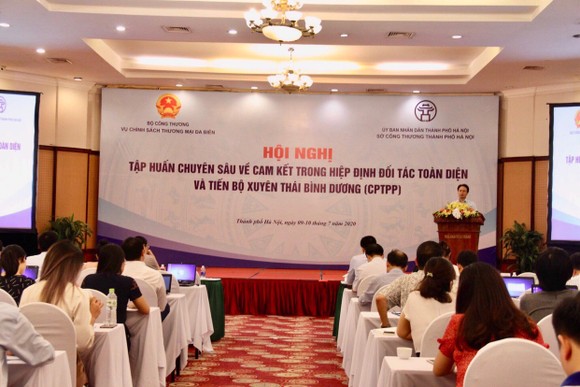 Chia sẻ kinh nghiệm cho các doanh nghiệp xuất hàng hóa vào CPTPP ảnh 1