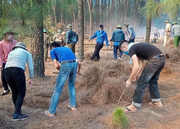 Nguy cơ cháy rừng tại các tỉnh phía Bắc và miền Trung vẫn còn rất cao ảnh 2