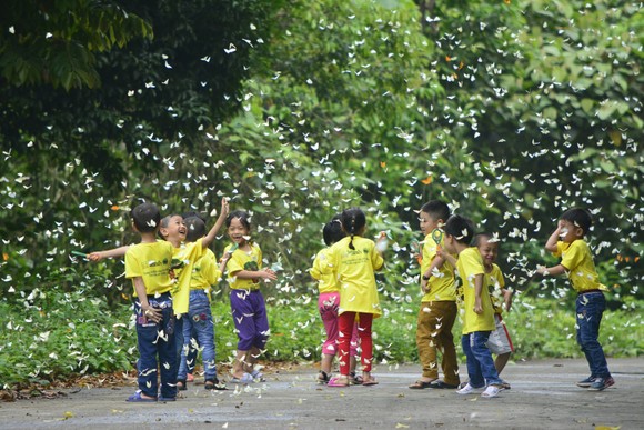 'Tuần lễ Cúc Phương đại ngàn' và 'Thêm xanh cho rừng già' ảnh 6