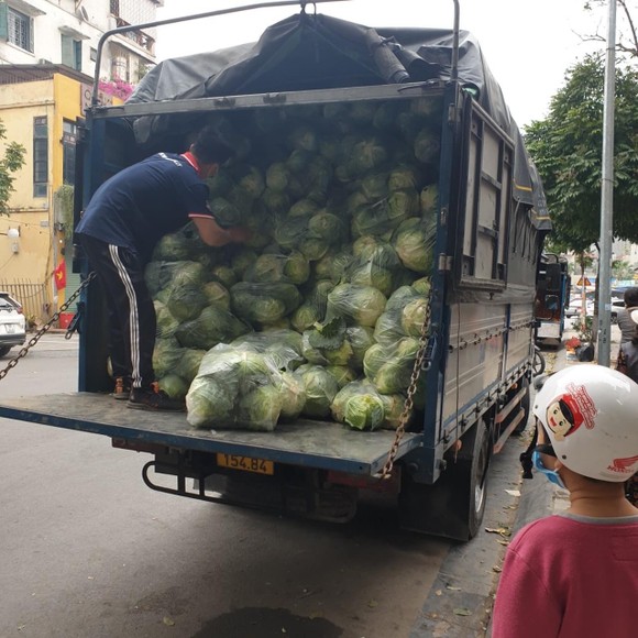 Khẩn trương cấp giấy tờ cho nông sản ở vùng có dịch ảnh 2