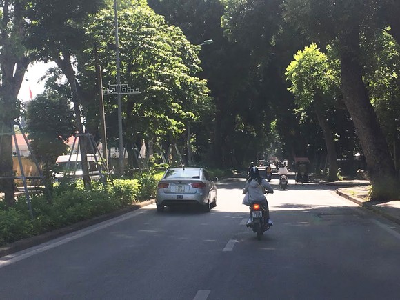 Vì sao Chính phủ muốn trồng 1 tỷ cây xanh? ảnh 1