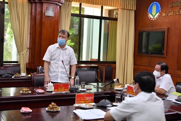 Bộ NN-PTNT họp tháo gỡ khó khăn cho lúa gạo ĐBSCL ảnh 1