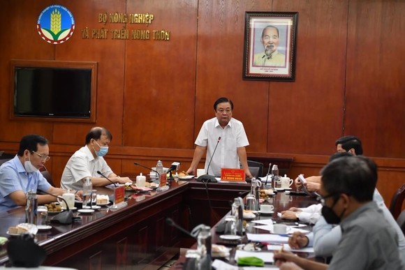 Bộ NN-PTNT họp tháo gỡ khó khăn cho lúa gạo ĐBSCL ảnh 2