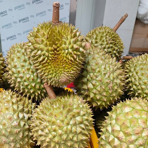Sầu riêng Ri6 'cháy hàng' tại Úc ảnh 1