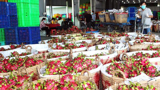 Hà Nội kết nối cung - cầu, giao thương nông sản với 3 miền ảnh 3