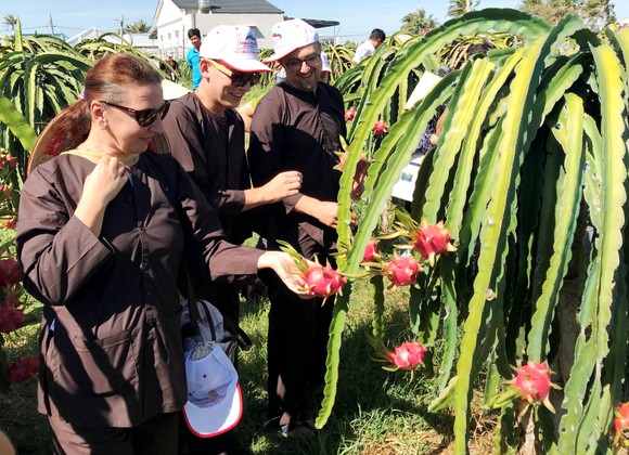 "Ngạc nhiên" khi đến Mũi Né ảnh 2