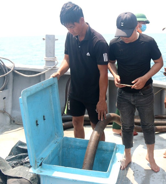 4.000 lít dầu lẫn nước trong con tàu chở tro bay nhiệt điện bị chìm đã được hút xong ảnh 2