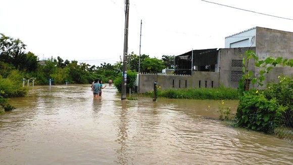 Mưa lớn gây sạt lở 2.000m đường giao thông, hàng trăm hécta hoa màu bị ngập úng ảnh 3