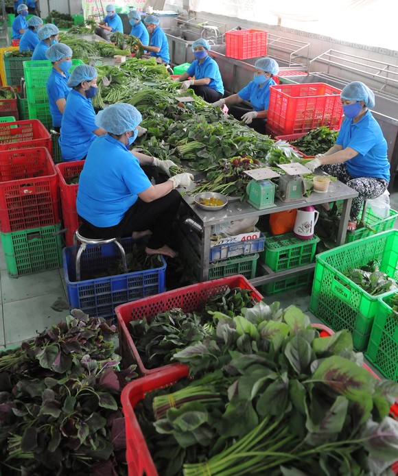 Doanh nghiệp chế biến nông sản: Cạnh tranh tốt với hàng ngoại ảnh 2