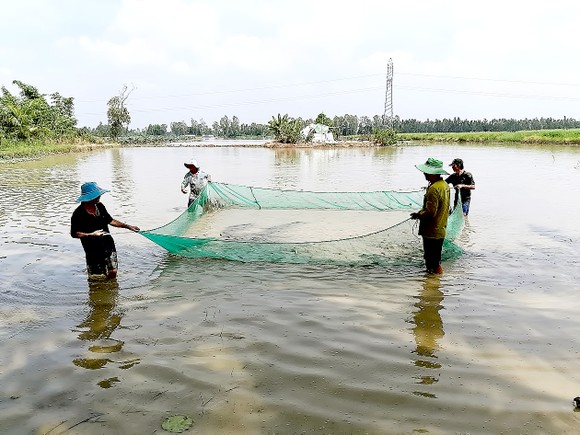 Miền Tây ngóng mùa nước nổi ảnh 1