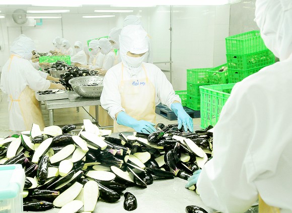 Thiếu chủ động, doanh nghiệp nguy cơ mất thị phần xuất khẩu ảnh 1