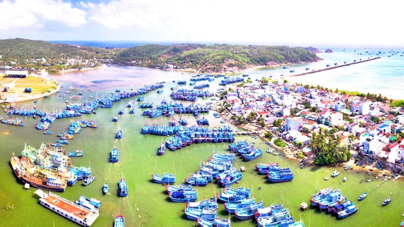 Khai thác thủy sản bền vững, chuyên nghiệp - Làm đúng để đi xa: Đầu tư đồng bộ, đúng hướng ảnh 2