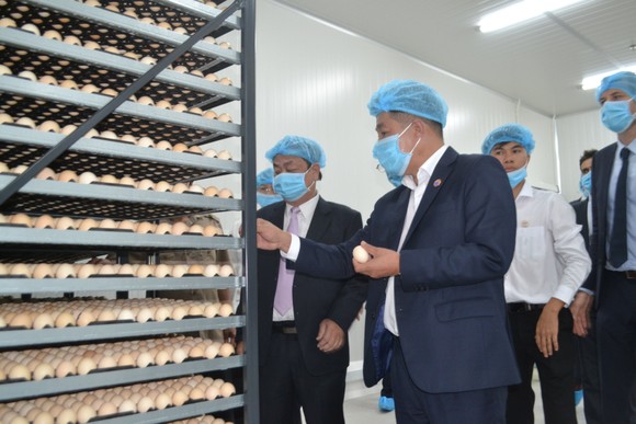 Phát triển ngành chăn nuôi công nghệ cao ảnh 1