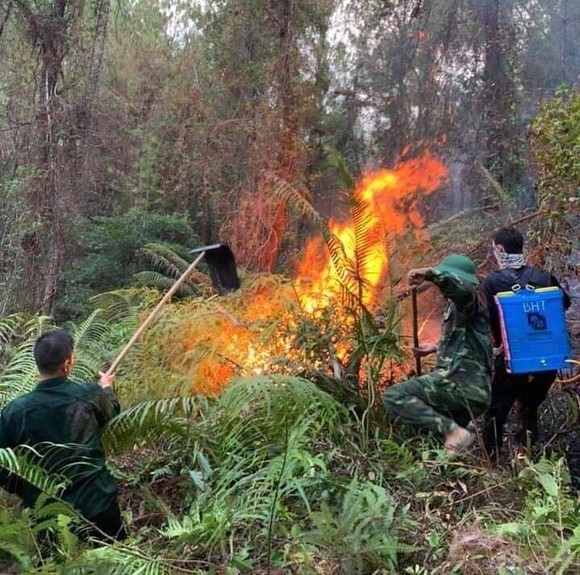 Cháy lớn xuyên đêm trên đỉnh núi Phú Sơn ảnh 4