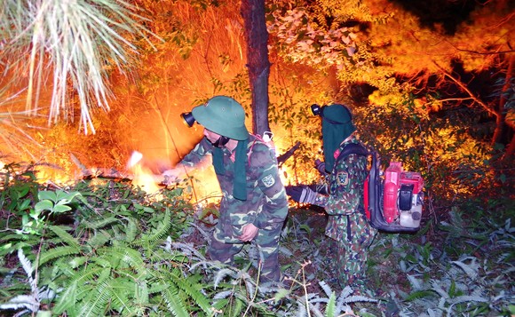 Cơ bản khống chế được đám cháy rừng ở Hà Tĩnh ảnh 3