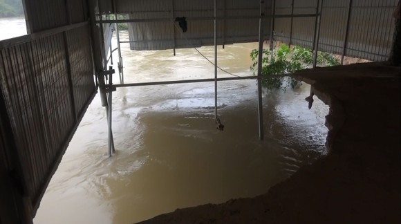 Huy động lực lượng kịp thời gia cố sạt lở bờ sông ở Hà Tĩnh ảnh 9
