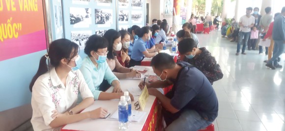 Trung tâm Dịch vụ việc làm TPHCM: Kết nối việc làm đến các huyện ngoại thành ảnh 1